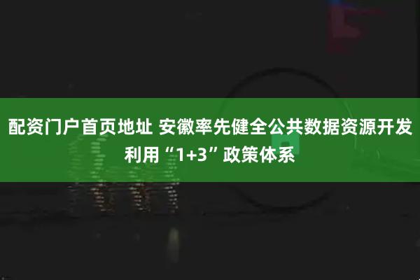 配资门户首页地址 安徽率先健全公共数据资源开发利用“1+3”政策体系